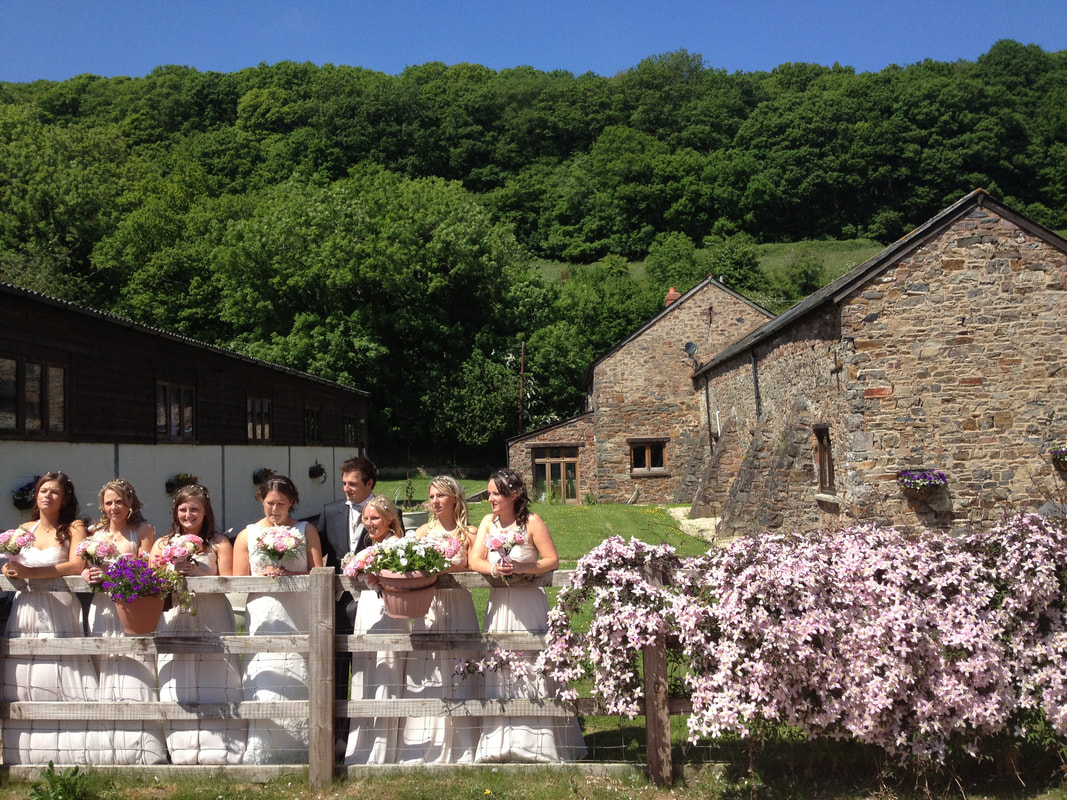 Wedding party at Duvale Priory on a sunny summers day