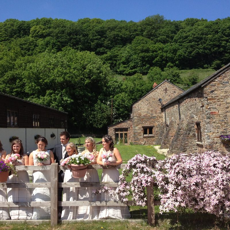 Wedding party at Duvale Priory on a sunny summers day