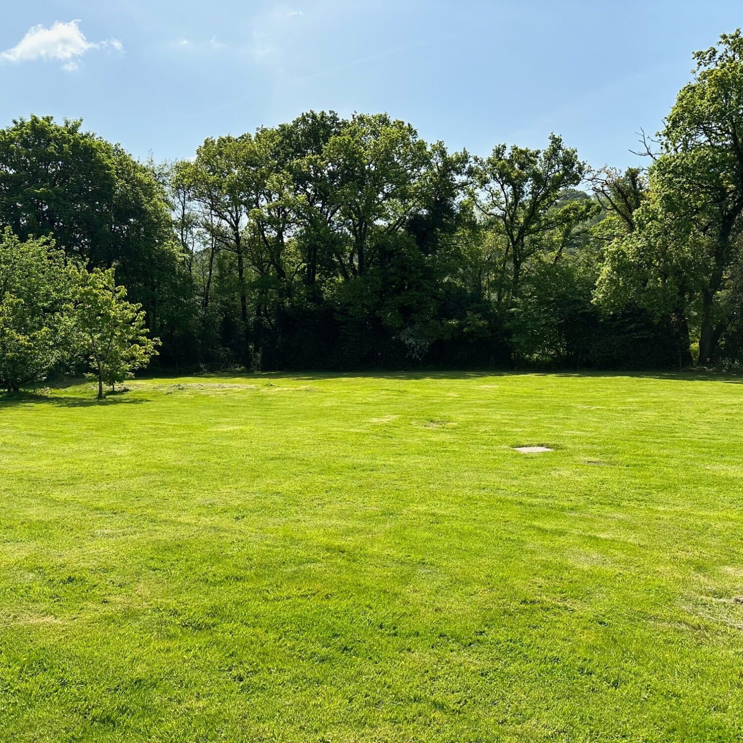 image1